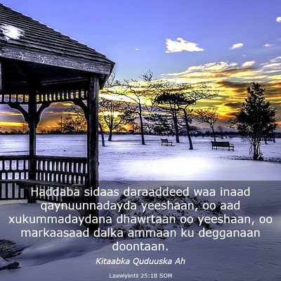 Picture 03 - Laawiyiintii 25:18 SOM - Haddaba sidaas daraaddeed waa inaad - Bible Verse Picture