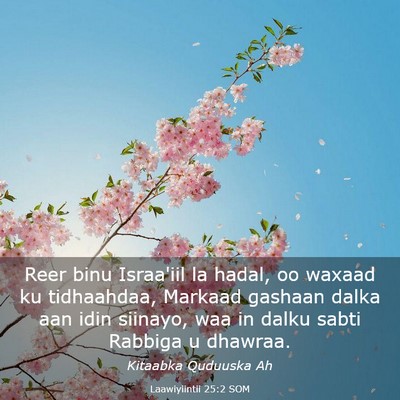 Picture 03 - Laawiyiintii 25:2 SOM - Reer binu Israa'iil la hadal, oo waxaad ku - Bible Verse Picture