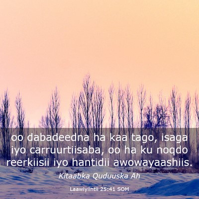 Picture 03 - Laawiyiintii 25:41 SOM - oo dabadeedna ha kaa tago, isaga iyo - Bible Verse Picture