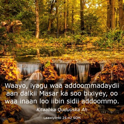 Picture 03 - Laawiyiintii 25:42 SOM - Waayo, iyagu waa addoommadaydii aan dalkii Masar - Bible Verse Picture