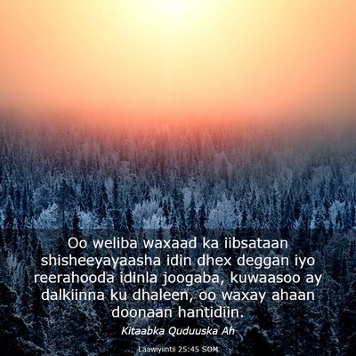 Picture 03 - Laawiyiintii 25:45 SOM - Oo weliba waxaad ka iibsataan shisheeyayaasha - Bible Verse Picture