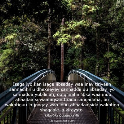 Picture 03 - Laawiyiintii 25:50 SOM - Isaga iyo kan isaga iibsaday waa inay tiriyaan - Bible Verse Picture