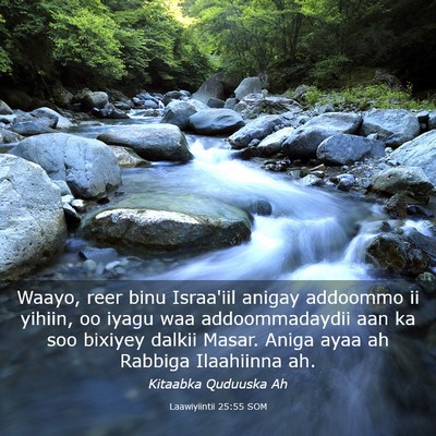 Picture 03 - Laawiyiintii 25:55 SOM - Waayo, reer binu Israa'iil anigay addoommo ii - Bible Verse Picture