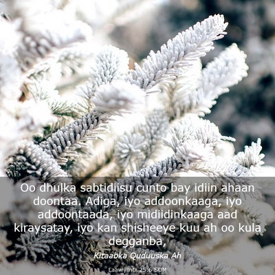 Picture 03 - Laawiyiintii 25:6 SOM - Oo dhulka sabtidiisu cunto bay idiin ahaan - Bible Verse Picture