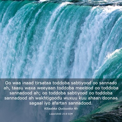 Picture 03 - Laawiyiintii 25:8 SOM - Oo waa inaad tirsataa toddoba sabtiyood oo - Bible Verse Picture