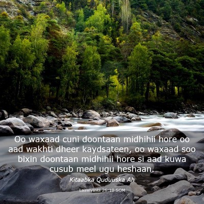 Picture 03 - Laawiyiintii 26:10 SOM - Oo waxaad cuni doontaan midhihii hore oo aad - Bible Verse Picture