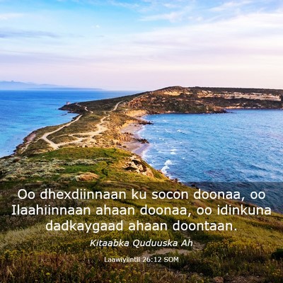 Picture 03 - Laawiyiintii 26:12 SOM - Oo dhexdiinnaan ku socon doonaa, oo Ilaahiinnaan - Bible Verse Picture