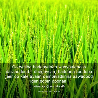 Picture 03 - Laawiyiintii 26:18 SOM - Oo weliba haddaydnan waxyaalahaas daraaddood ii - Bible Verse Picture