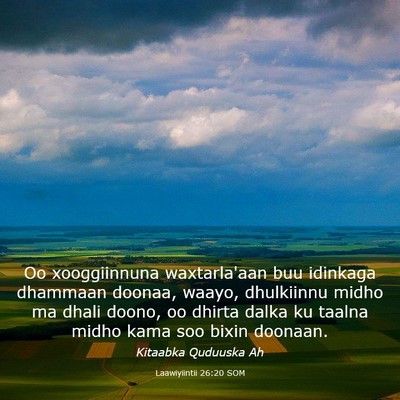 Picture 03 - Laawiyiintii 26:20 SOM - Oo xooggiinnuna waxtarla'aan buu idinkaga - Bible Verse Picture