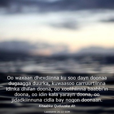 Picture 03 - Laawiyiintii 26:22 SOM - Oo waxaan dhexdiinna ku soo dayn doonaa dugaagga - Bible Verse Picture