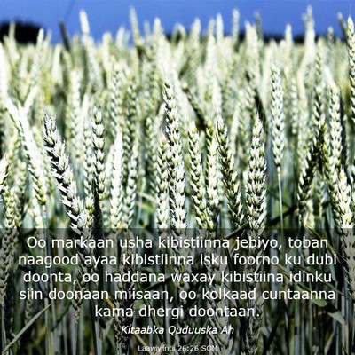 Picture 03 - Laawiyiintii 26:26 SOM - Oo markaan usha kibistiinna jebiyo, toban naagood - Bible Verse Picture