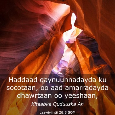 Picture 03 - Laawiyiintii 26:3 SOM - Haddaad qaynuunnadayda ku socotaan, oo aad - Bible Verse Picture