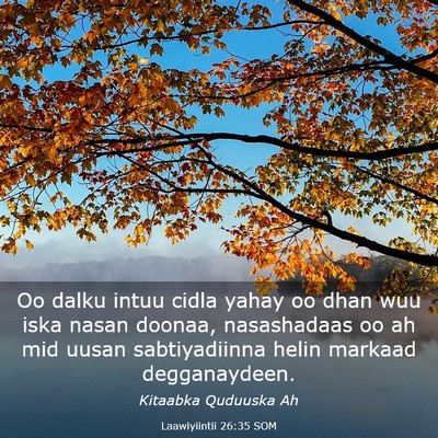 Picture 03 - Laawiyiintii 26:35 SOM - Oo dalku intuu cidla yahay oo dhan wuu iska nasan - Bible Verse Picture