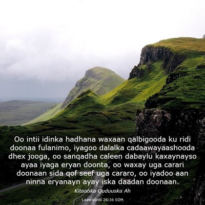 Picture 03 - Laawiyiintii 26:36 SOM - Oo intii idinka hadhana waxaan qalbigooda ku ridi - Bible Verse Picture