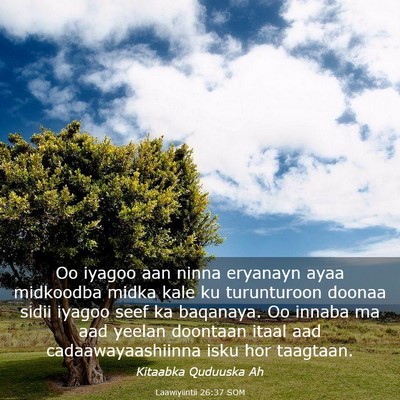 Picture 03 - Laawiyiintii 26:37 SOM - Oo iyagoo aan ninna eryanayn ayaa midkoodba midka - Bible Verse Picture