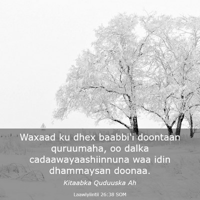 Picture 03 - Laawiyiintii 26:38 SOM - Waxaad ku dhex baabbi'i doontaan quruumaha, oo - Bible Verse Picture