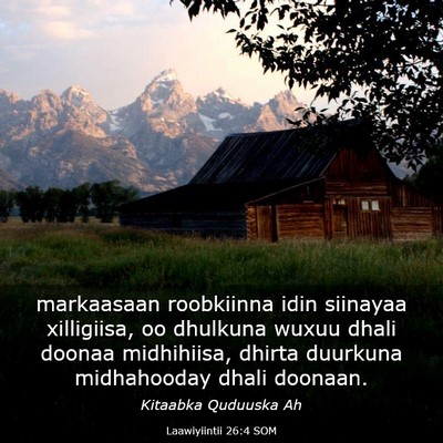 Picture 03 - Laawiyiintii 26:4 SOM - markaasaan roobkiinna idin siinayaa xilligiisa, - Bible Verse Picture