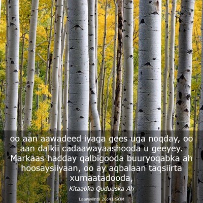 Picture 03 - Laawiyiintii 26:41 SOM - oo aan aawadeed iyaga gees uga noqday, oo aan - Bible Verse Picture