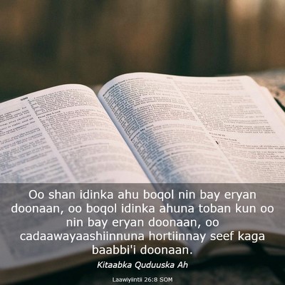 Picture 03 - Laawiyiintii 26:8 SOM - Oo shan idinka ahu boqol nin bay eryan doonaan, - Bible Verse Picture