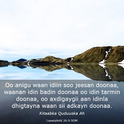 Picture 03 - Laawiyiintii 26:9 SOM - Oo anigu waan idiin soo jeesan doonaa, waanan - Bible Verse Picture