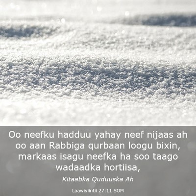 Picture 03 - Laawiyiintii 27:11 SOM - Oo neefku hadduu yahay neef nijaas ah oo aan - Bible Verse Picture