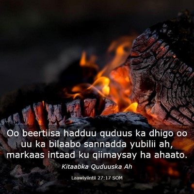 Picture 03 - Laawiyiintii 27:17 SOM - Oo beertiisa hadduu quduus ka dhigo oo uu ka - Bible Verse Picture