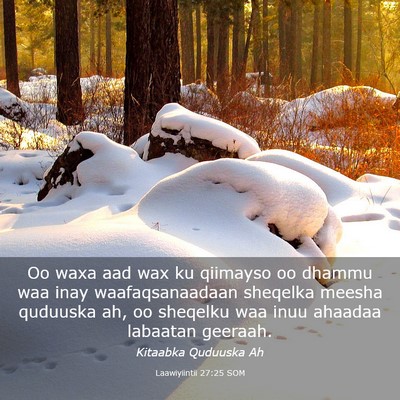 Picture 03 - Laawiyiintii 27:25 SOM - Oo waxa aad wax ku qiimayso oo dhammu waa inay - Bible Verse Picture