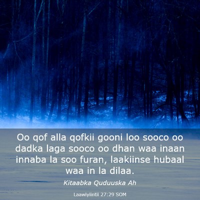 Picture 03 - Laawiyiintii 27:29 SOM - Oo qof alla qofkii gooni loo sooco oo dadka laga - Bible Verse Picture