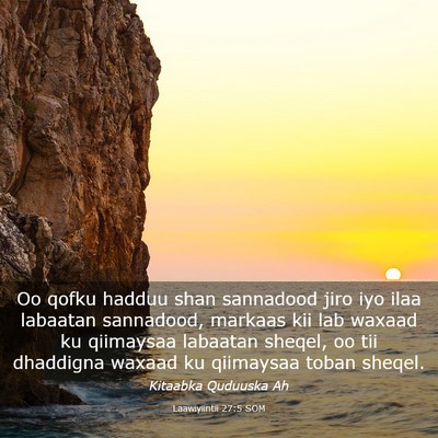 Picture 03 - Laawiyiintii 27:5 SOM - Oo qofku hadduu shan sannadood jiro iyo ilaa - Bible Verse Picture