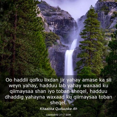 Picture 03 - Laawiyiintii 27:7 SOM - Oo haddii qofku lixdan jir yahay amase ka sii - Bible Verse Picture