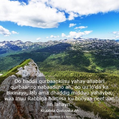 Picture 03 - Laawiyiintii 3:1 SOM - Oo haddii qurbaankiisu yahay allabari qurbaanno - Bible Verse Picture