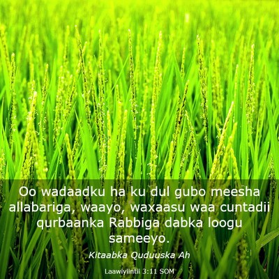 Picture 03 - Laawiyiintii 3:11 SOM - Oo wadaadku ha ku dul gubo meesha allabariga, - Bible Verse Picture