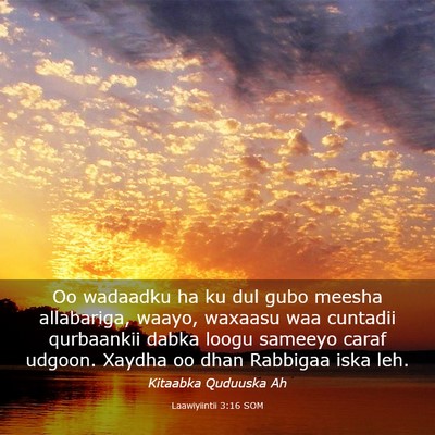 Picture 03 - Laawiyiintii 3:16 SOM - Oo wadaadku ha ku dul gubo meesha allabariga, - Bible Verse Picture