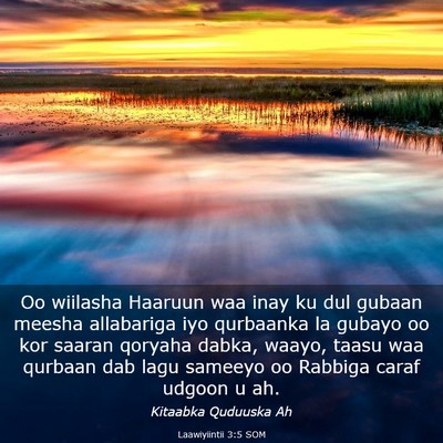 Picture 03 - Laawiyiintii 3:5 SOM - Oo wiilasha Haaruun waa inay ku dul gubaan meesha - Bible Verse Picture