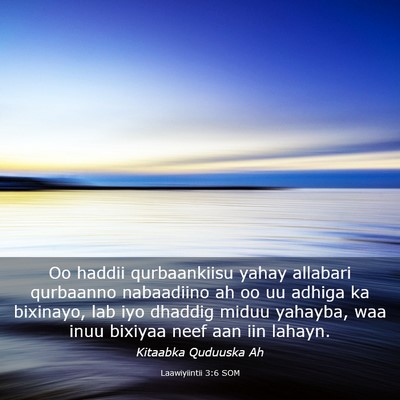 Picture 03 - Laawiyiintii 3:6 SOM - Oo haddii qurbaankiisu yahay allabari qurbaanno - Bible Verse Picture