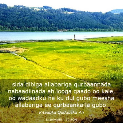Picture 03 - Laawiyiintii 4:10 SOM - sida dibiga allabariga qurbaannada nabaadiinada - Bible Verse Picture