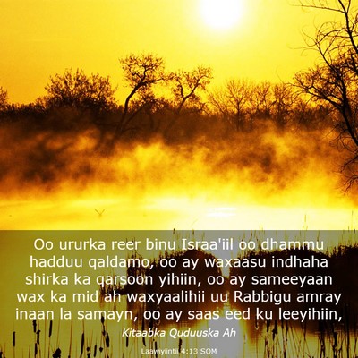 Picture 03 - Laawiyiintii 4:13 SOM - Oo ururka reer binu Israa'iil oo dhammu hadduu - Bible Verse Picture