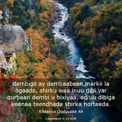 Picture 03 - Laawiyiintii 4:14 SOM - dembigii ay dembaabeen markii la ogaado, shirku - Bible Verse Picture