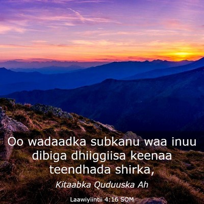 Picture 03 - Laawiyiintii 4:16 SOM - Oo wadaadka subkanu waa inuu dibiga dhiiggiisa - Bible Verse Picture