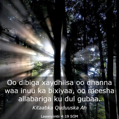 Picture 03 - Laawiyiintii 4:19 SOM - Oo dibiga xaydhiisa oo dhanna waa inuu ka - Bible Verse Picture