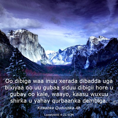 Picture 03 - Laawiyiintii 4:21 SOM - Oo dibiga waa inuu xerada dibadda uga bixiyaa oo - Bible Verse Picture