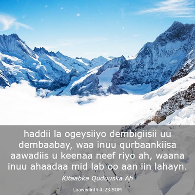 Picture 03 - Laawiyiintii 4:23 SOM - haddii la ogeysiiyo dembigiisii uu dembaabay, waa - Bible Verse Picture