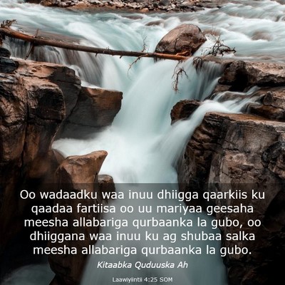 Picture 03 - Laawiyiintii 4:25 SOM - Oo wadaadku waa inuu dhiigga qaarkiis ku qaadaa - Bible Verse Picture