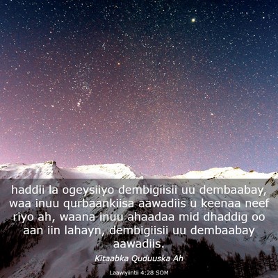 Picture 03 - Laawiyiintii 4:28 SOM - haddii la ogeysiiyo dembigiisii uu dembaabay, waa - Bible Verse Picture