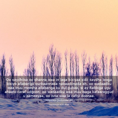 Picture 03 - Laawiyiintii 4:31 SOM - Oo xaydhiisa oo dhanna waa in laga bixiyaa sidii - Bible Verse Picture