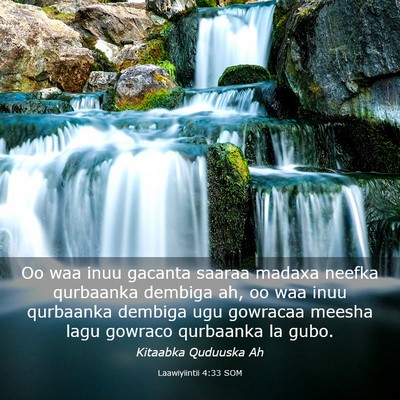 Picture 03 - Laawiyiintii 4:33 SOM - Oo waa inuu gacanta saaraa madaxa neefka - Bible Verse Picture
