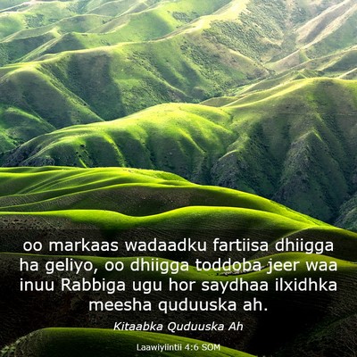 Picture 03 - Laawiyiintii 4:6 SOM - oo markaas wadaadku fartiisa dhiigga ha geliyo, - Bible Verse Picture