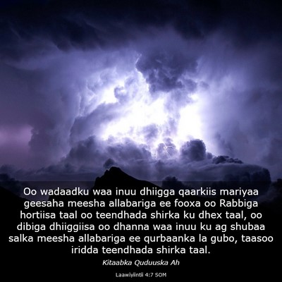 Picture 03 - Laawiyiintii 4:7 SOM - Oo wadaadku waa inuu dhiigga qaarkiis mariyaa - Bible Verse Picture