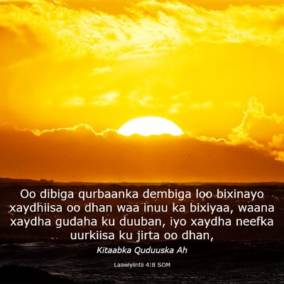 Picture 03 - Laawiyiintii 4:8 SOM - Oo dibiga qurbaanka dembiga loo bixinayo - Bible Verse Picture