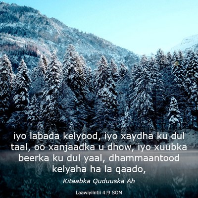 Picture 03 - Laawiyiintii 4:9 SOM - iyo labada kelyood, iyo xaydha ku dul taal, oo - Bible Verse Picture